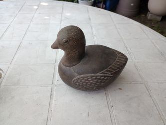 Duck