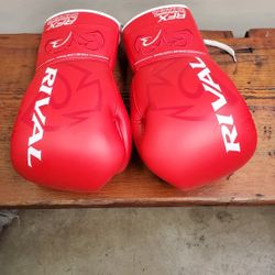 Rival Boxing Gloves 