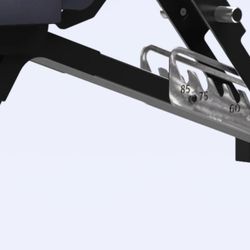 Rep Fitness AB5200 V2 Ladder Rails Only Clear Coat