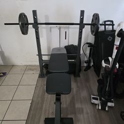 golds gym XR 6.1 weight bench