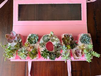 MOM living succulent arrangement