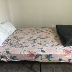 Queen Bed For Sale Needs To Go Immediately 