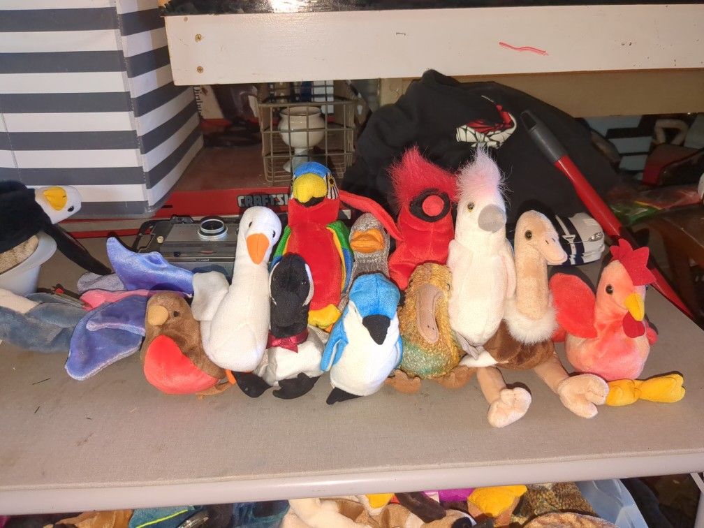 Bird Ty Beanie Babies
