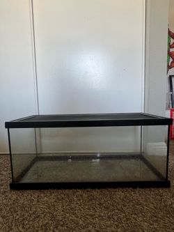 20 gal reptile terrarium