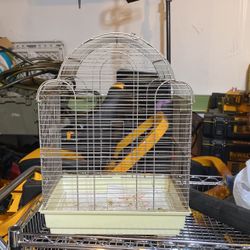 Bird Cage