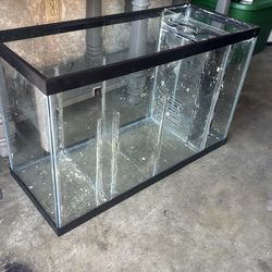 30 gallon aquarium