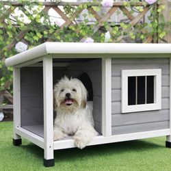 Casitas Para Perros 