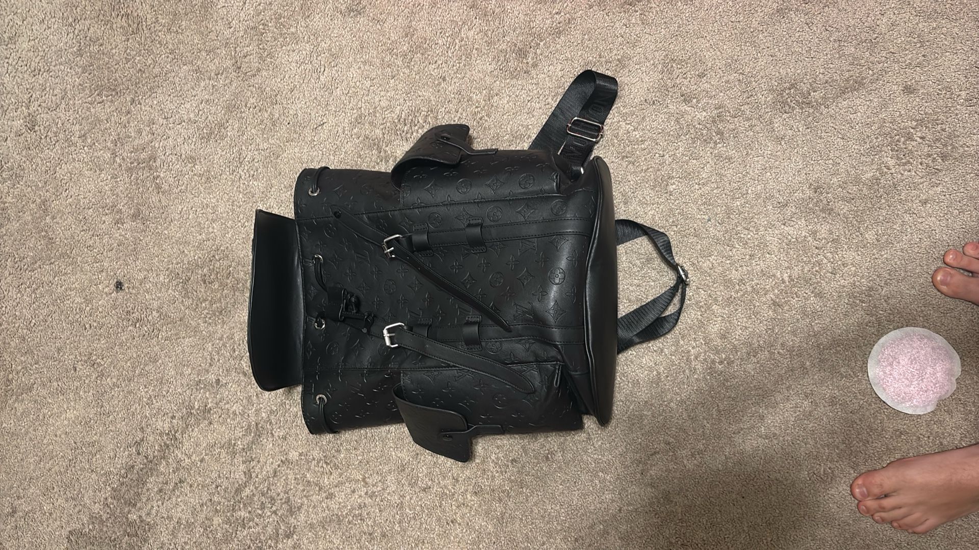Louie Vuitton Back Pack
