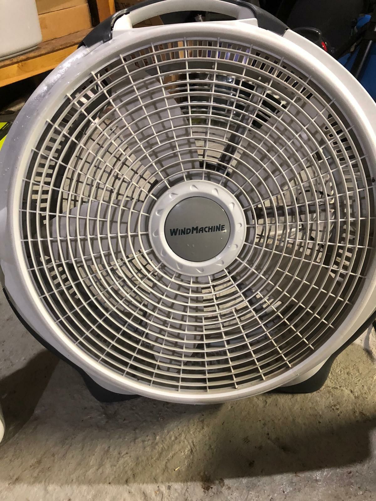 Fan