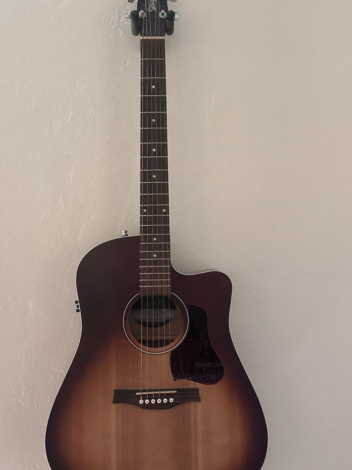 Seagull Entourage CW Acoustic Guitar 
