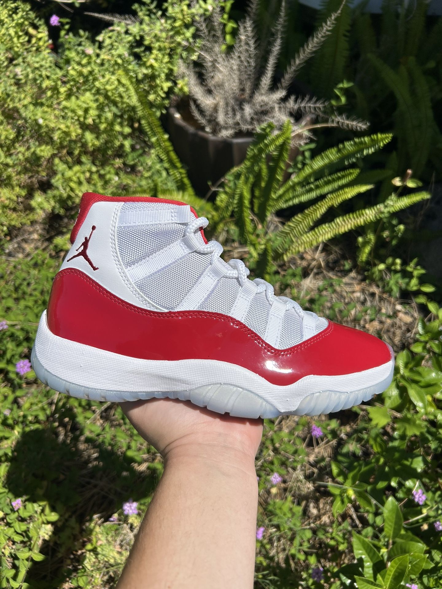 Cherry Jordan 11’s