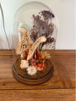 Real butterfly glass dome