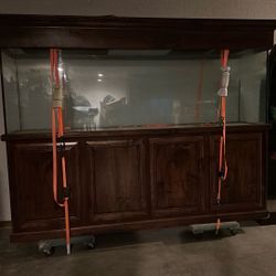 350 Gallon Glass Fish Tank