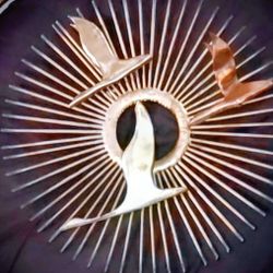  Curtis Jere Birds In Flight