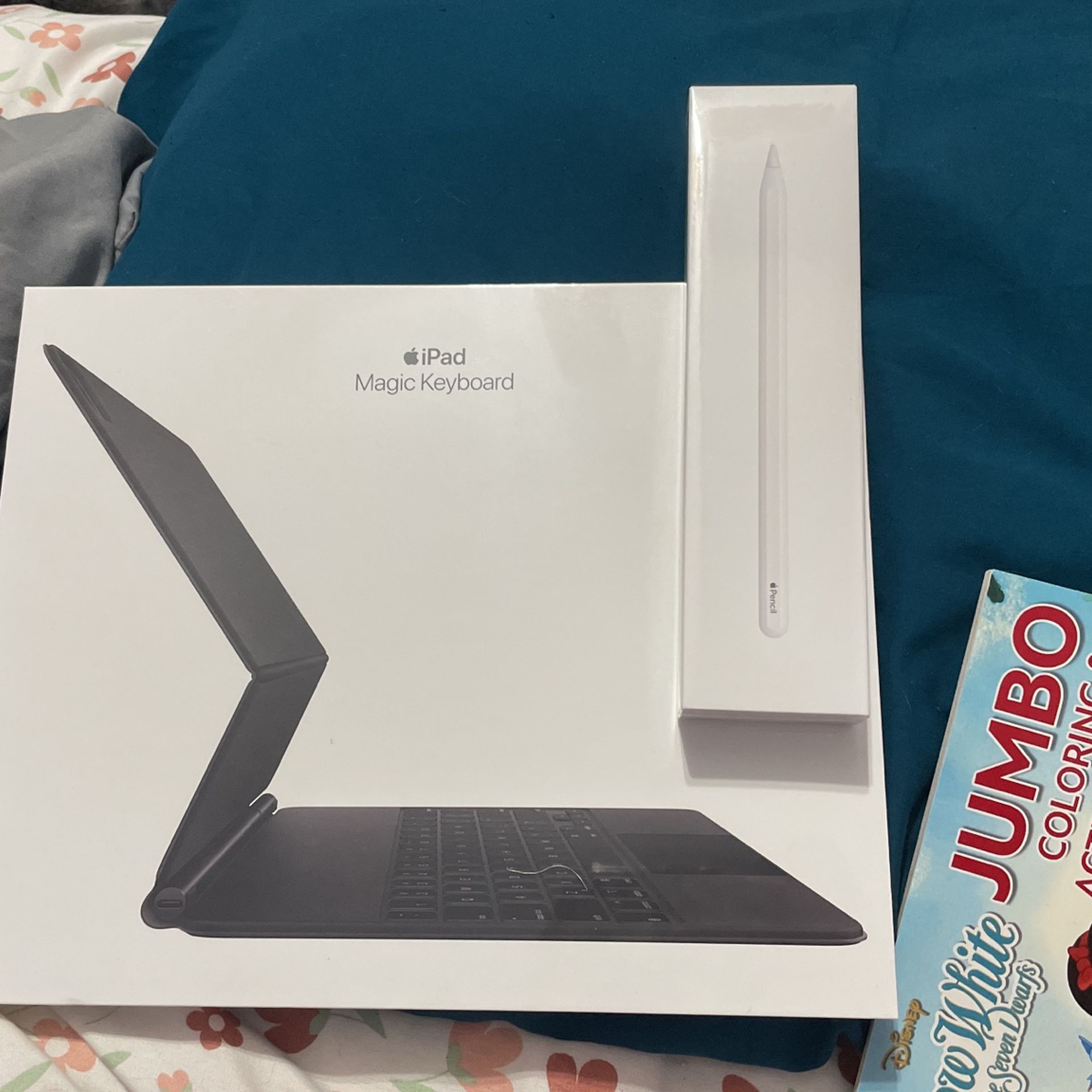 Apple Magic Keyboard And Apple Pencil ( 2nd Generation)
