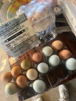 Farm Fresh Eggs