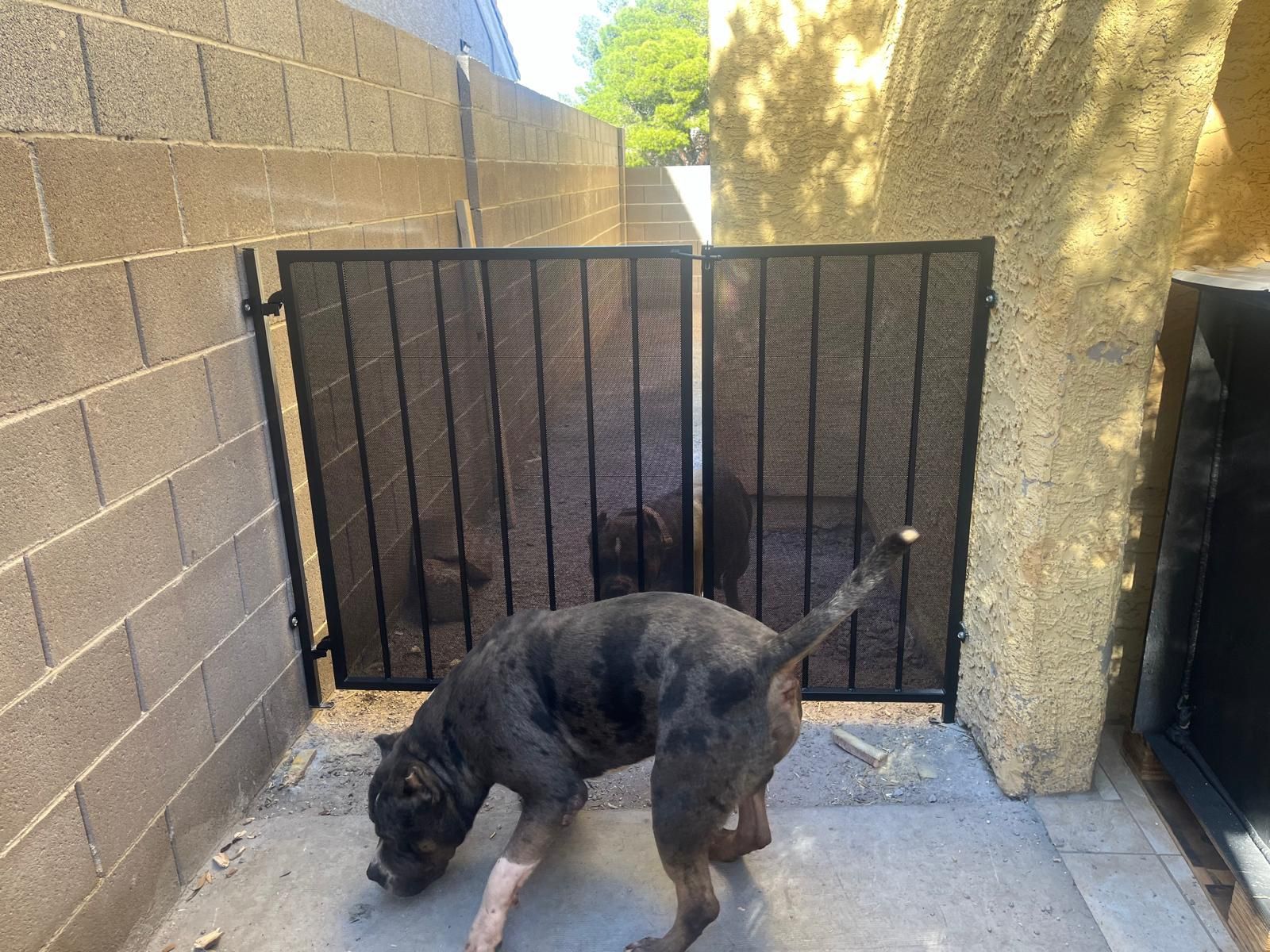 Dog Gate-fence  (iron)