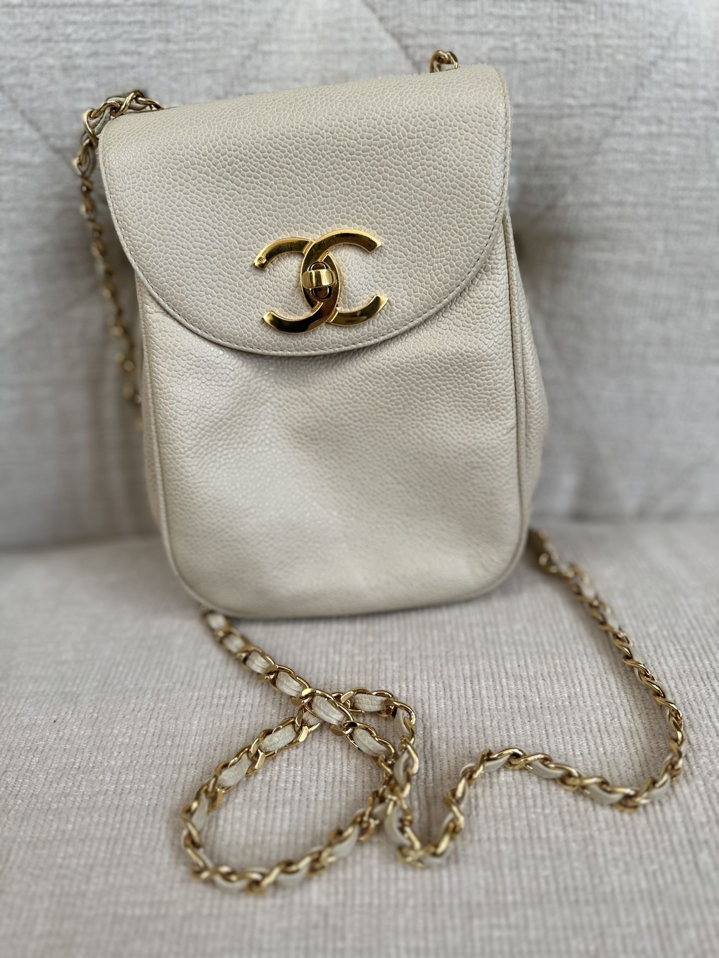 Chanel Penguin Bag