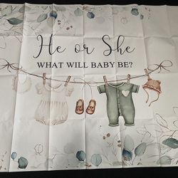 Gender Reveal Backdrop 