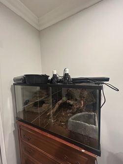 Reptile 40 Gallon Enclosure Setup