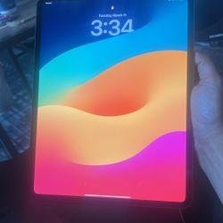 IPAD Pro 13 (M4) 256 Gig 