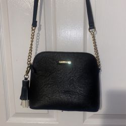 Steve Madden Crossbody Bag