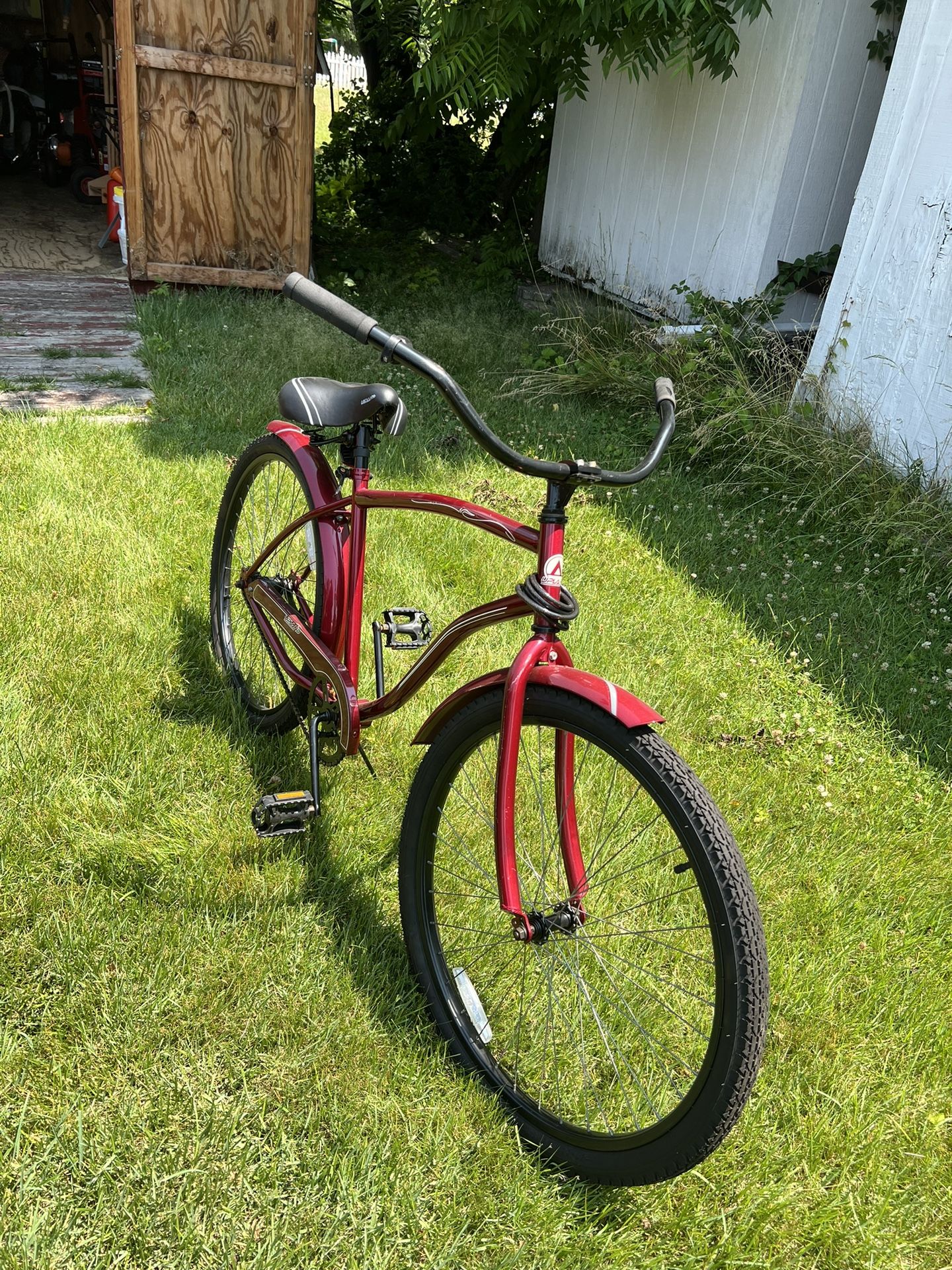 Beach Cruiser