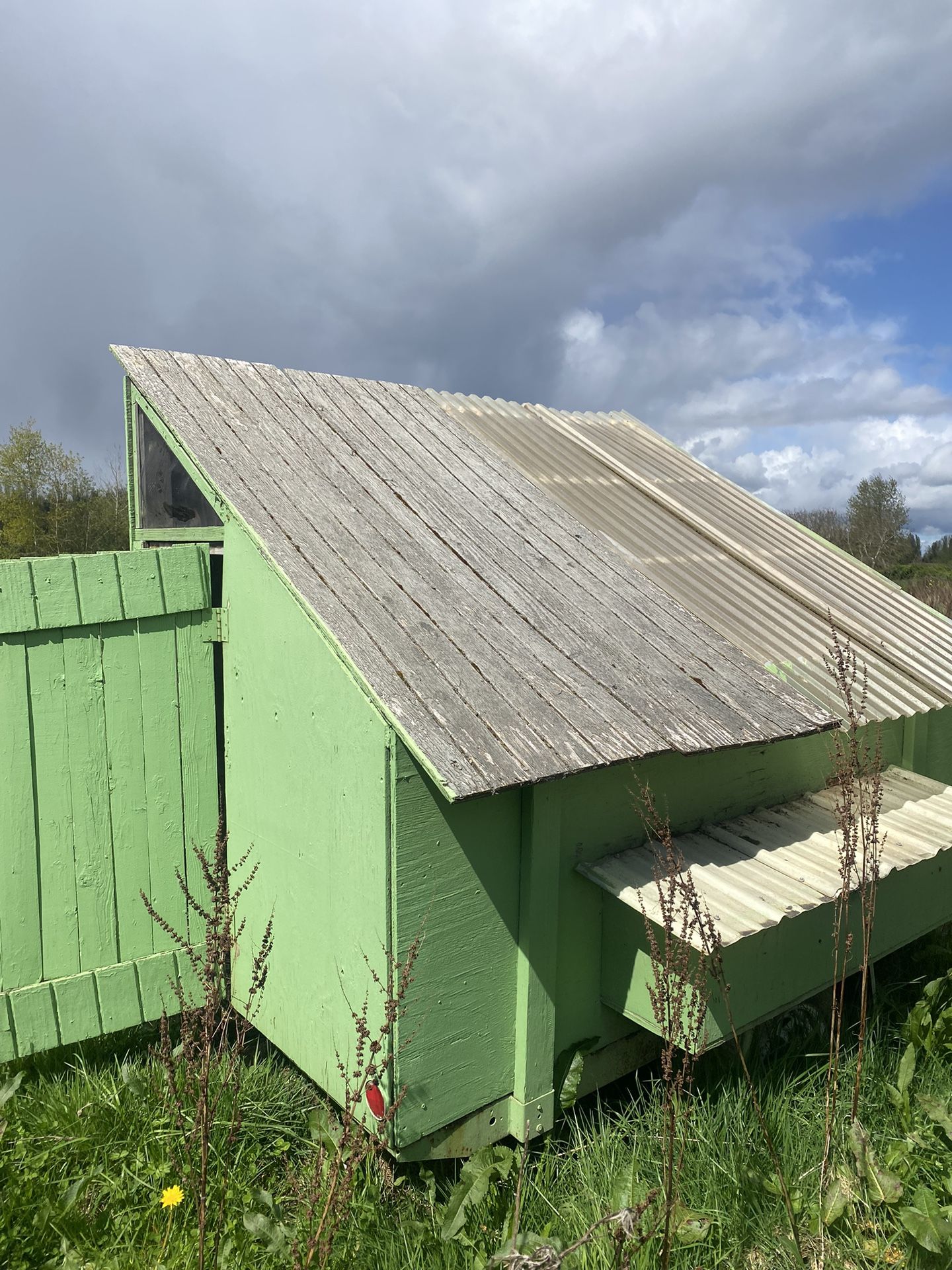 Chicken Coop