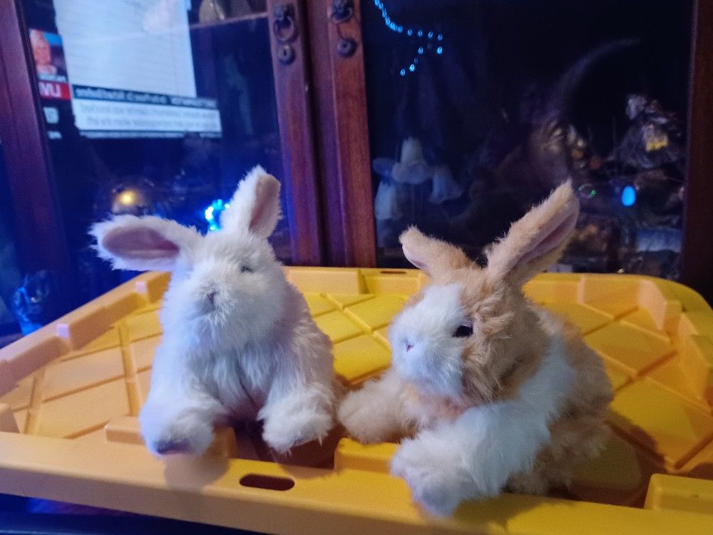 Furreal Bunny S 15.00 Each
