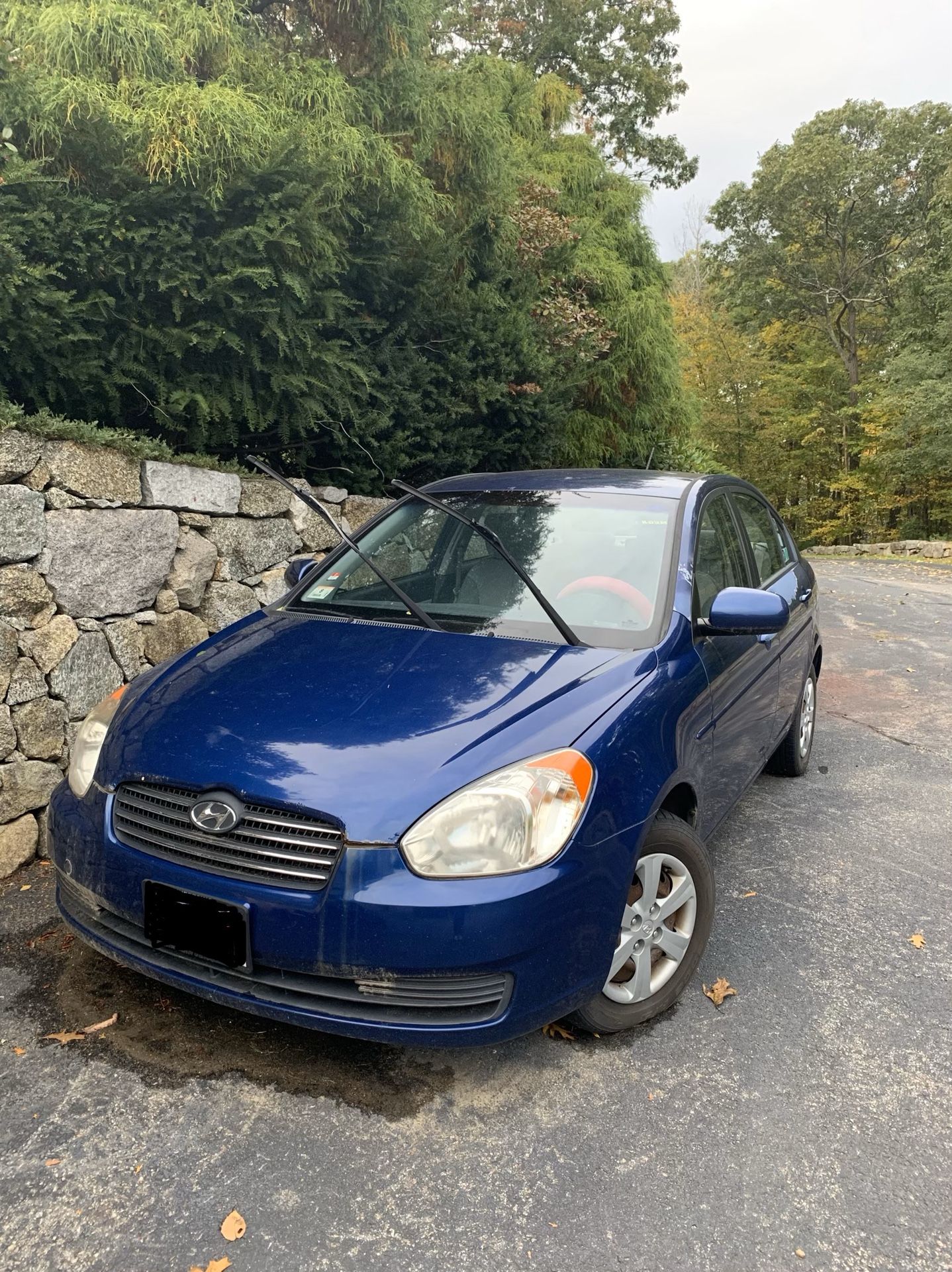 2010 Hyundai Accent