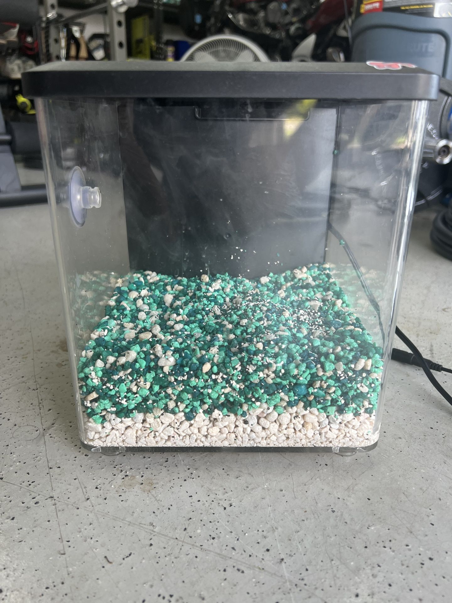2.5 Gallon Tank All In One Top Fin Fish Tank Aquarium Pecera