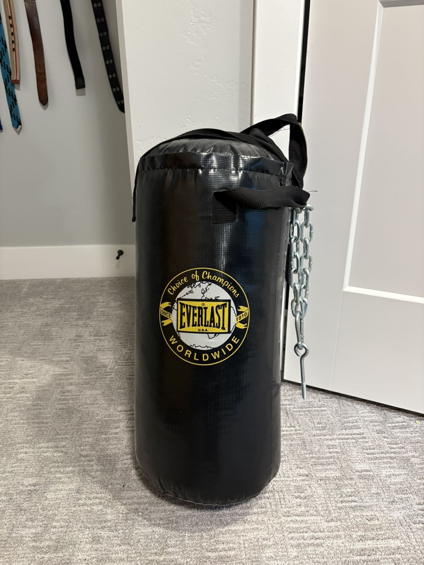 Everlast Small Punching Bag