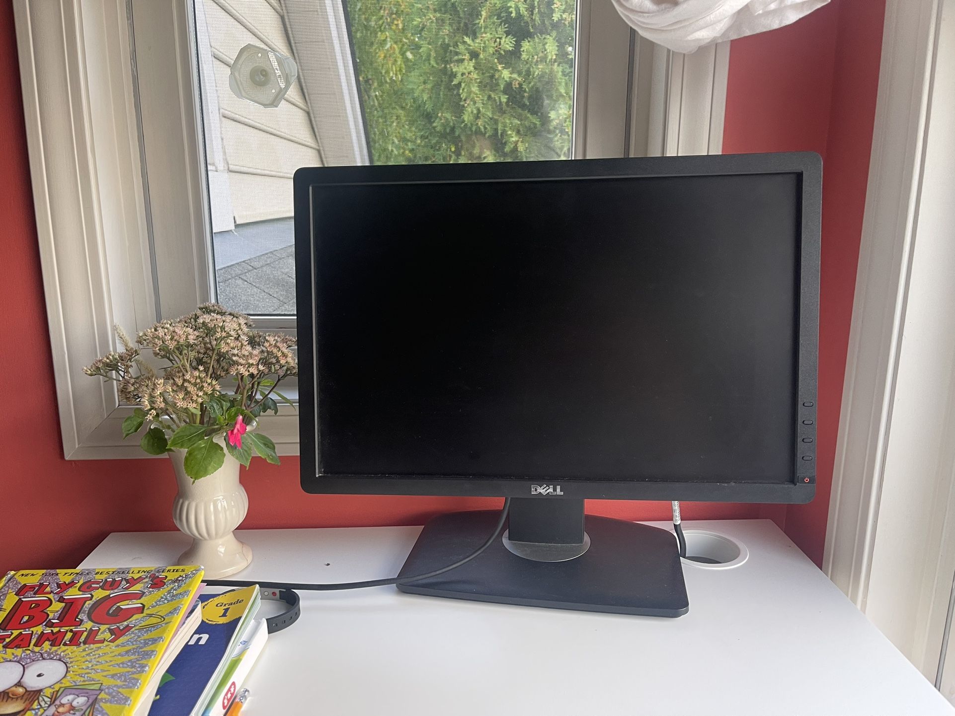 Dell Monitor 