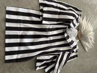 Dog Halloween Costume - Beetle Juice 