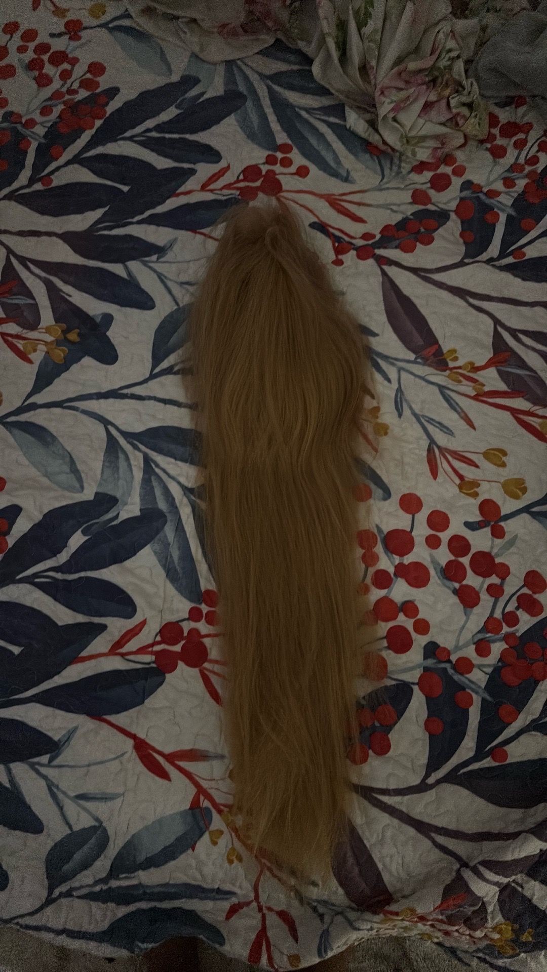 Used Honey Blonde Wig
