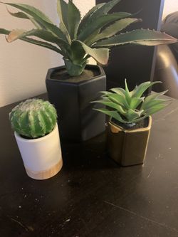 Artificial Plants