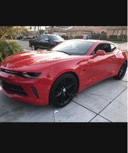 Vinyl Car Dipping