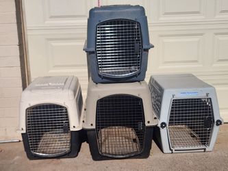 Dog kennels
