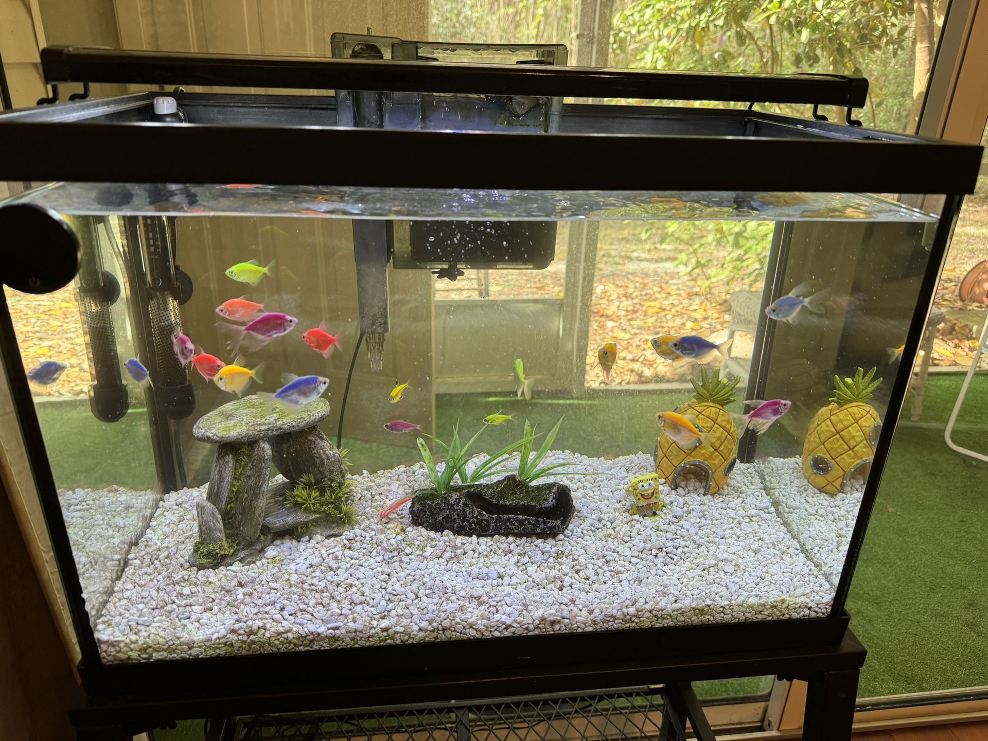 Fish Tanks New