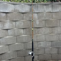 Trolling Setup - Daiwa Sealine 600h Reel And Rod - 