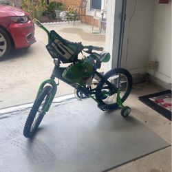 Dinosaur Kids Bike