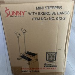 Mini Stepper