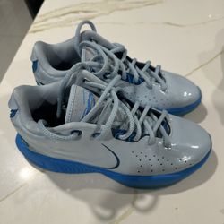 Nike LeBron 21 "Light Armory Blue" basketball shoes. Size 41/2