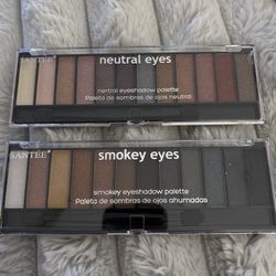 NEW SANTEE NEUTRAL AND SMOKEY EYES EYESHADOW PALETTES $5 For Both!