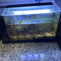 Fish Tank (7”x12”x20”)