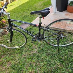 Vita Specialized Bike