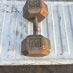 55lb Dumbbell