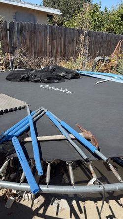 Trampoline