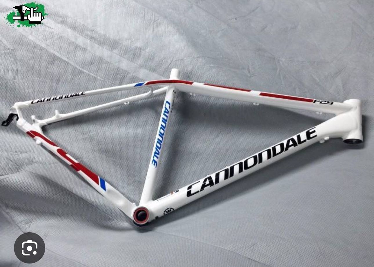 Cannondale F29 Size M