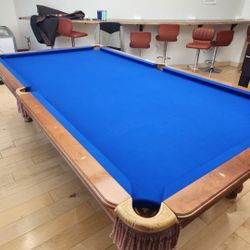 Pool Table Pro Person